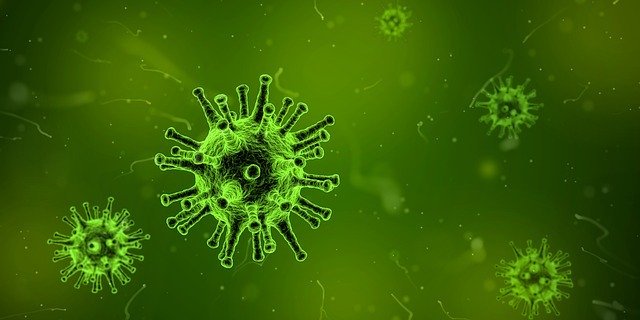 Is it safe to travel USA from India right now: Coronavirus